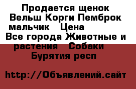 Продается щенок Вельш Корги Пемброк мальчик › Цена ­ 65 000 - Все города Животные и растения » Собаки   . Бурятия респ.